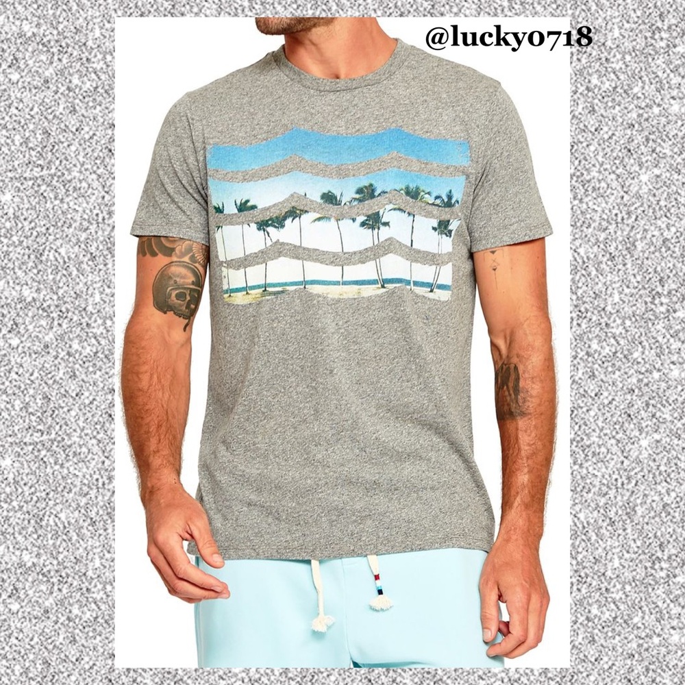 Sol Angeles Men’s Summer Daze Wave Heather Gray Short Sleeve Palm Trees Tee Sz L